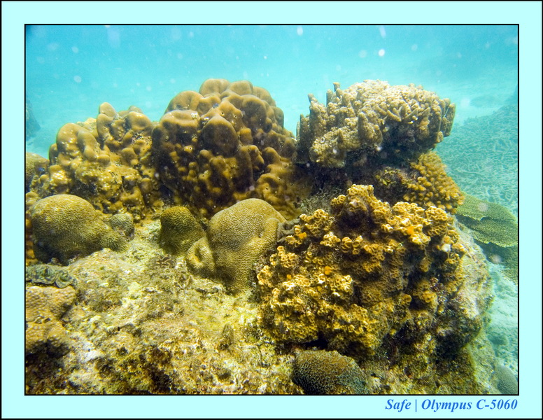 2008 - 07 - Perhentian - 071